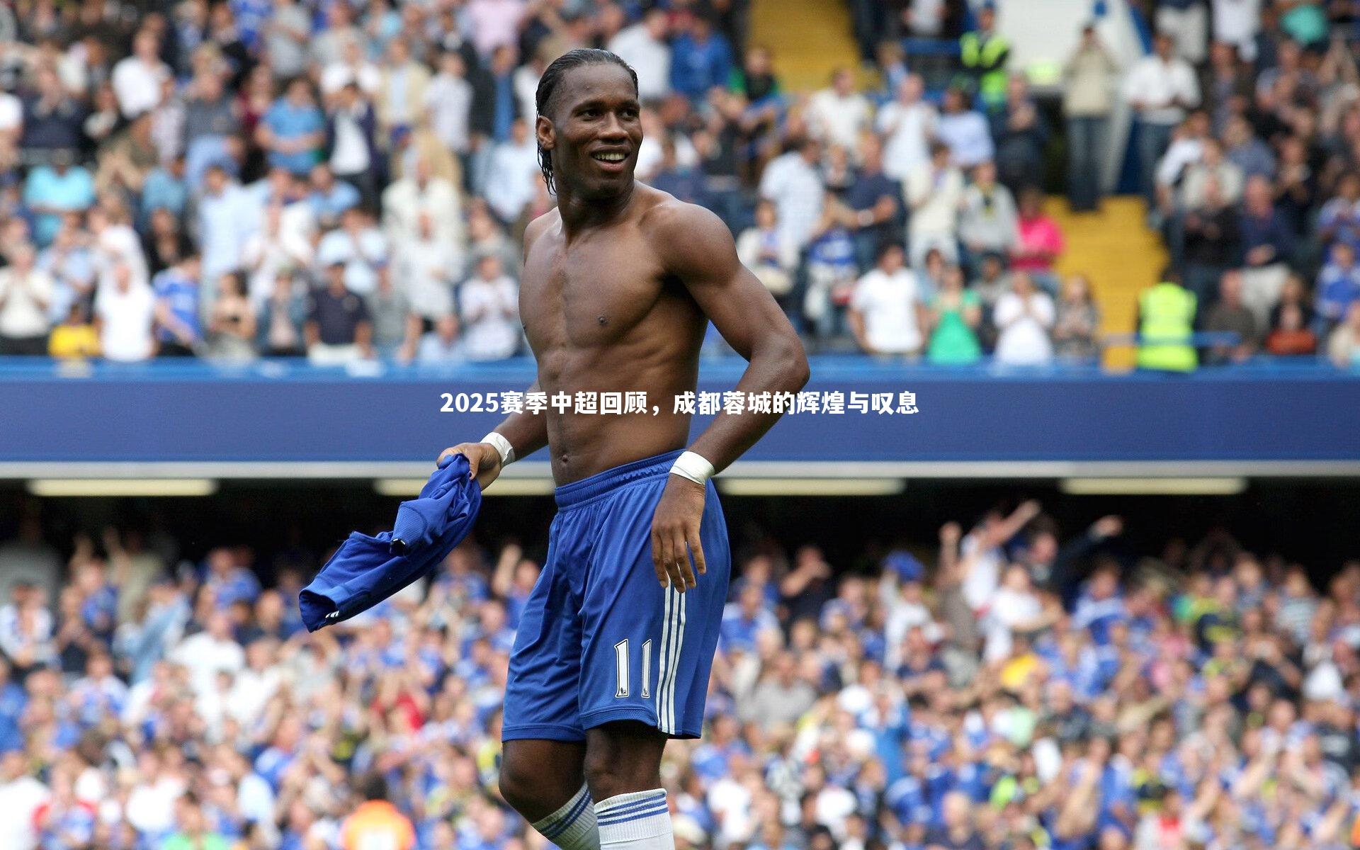 开云app-2025赛季中超回顾，成都蓉城的辉煌与叹息
