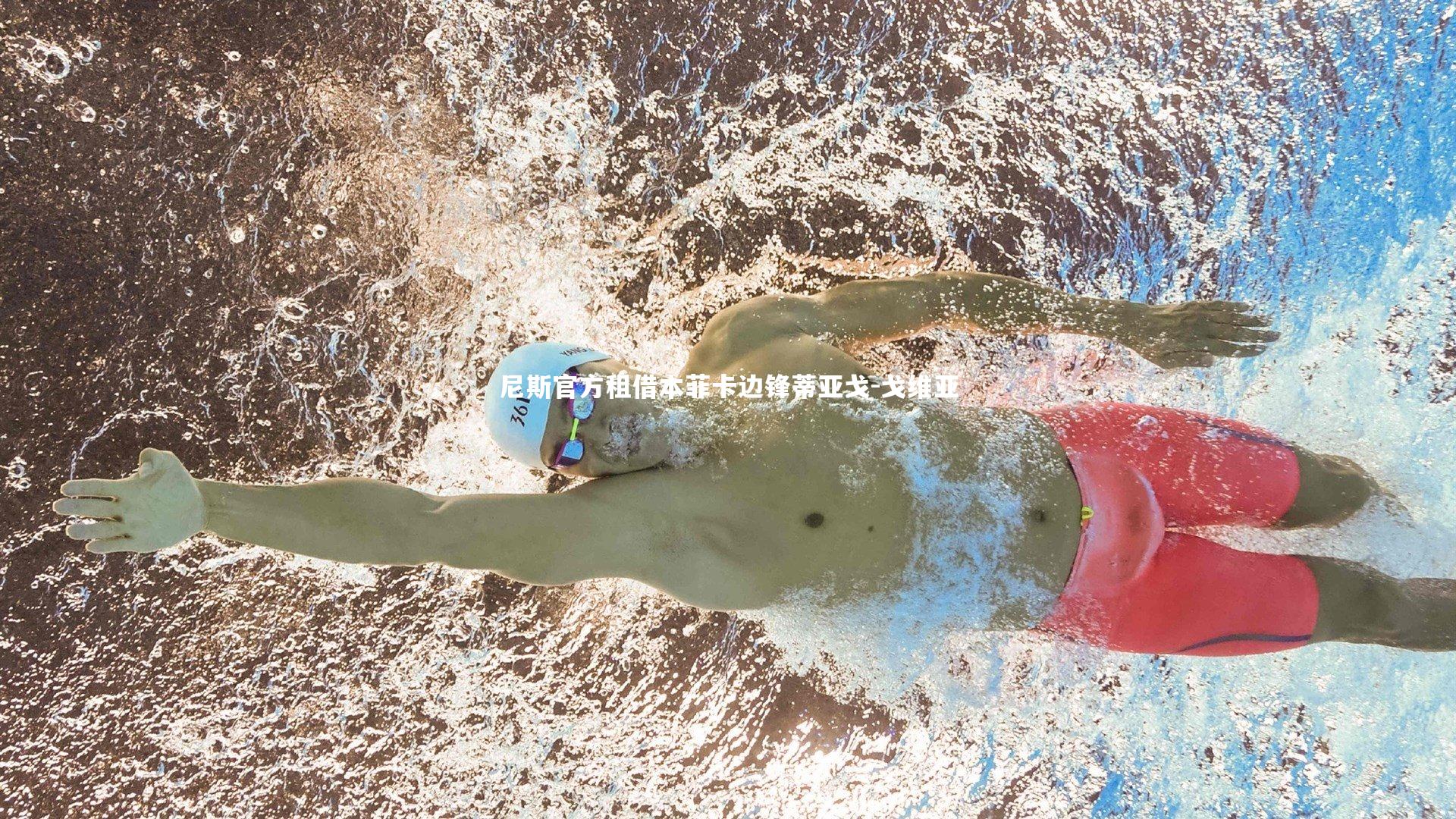 尼斯官方租借本菲卡边锋蒂亚戈-戈维亚